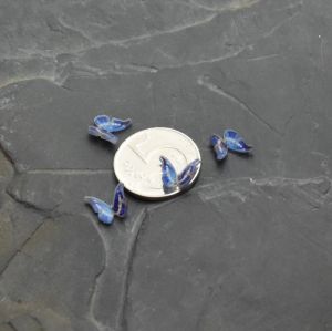 kabošon plastový motýlek 9,5x11x3mm - modrý