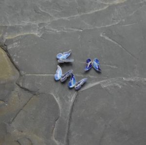 kabošon plastový motýlek 9,5x11x3mm - modrý