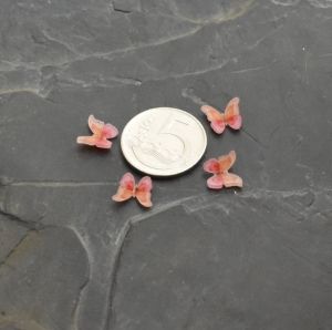 kabošon plastový motýlek 9x11x2,5mm - oranžovo-růžový